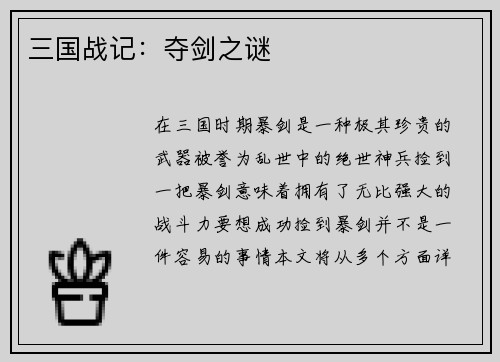 三国战记：夺剑之谜
